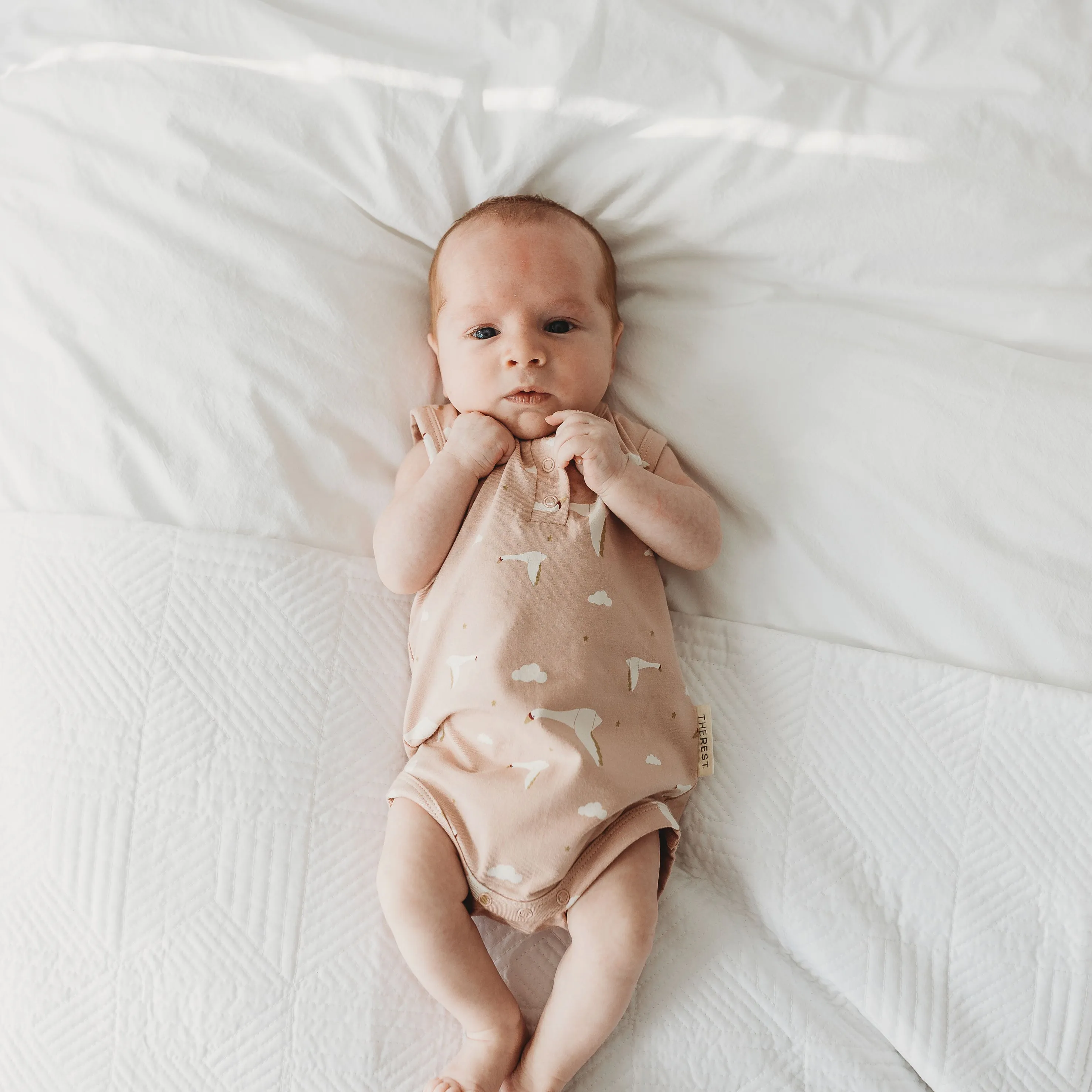 Henley Bodysuit - Geese